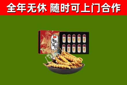 拉萨市烟酒回收冬虫夏草礼盒.jpg